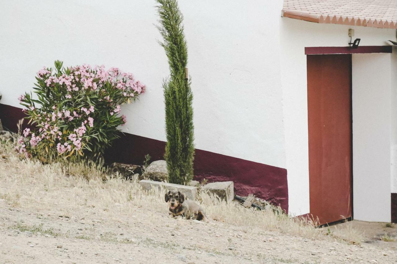 Casas Da Faia - Nature Guest House Arronches Exterior foto